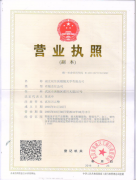 视佳医营业执照